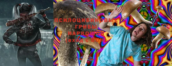герыч Арсеньев