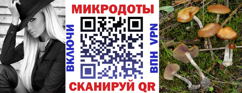 Псилоцибиновые грибы Cubensis  darknet клад  Каспийск  купить наркоту  ОМГ ОМГ вход 